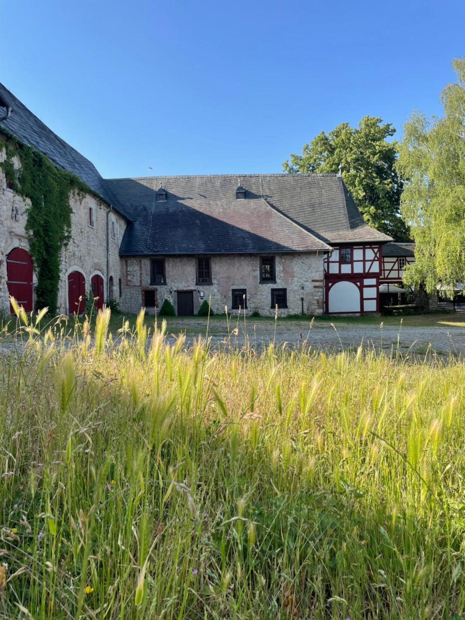 Schloss Beichlingen Luaran gambar