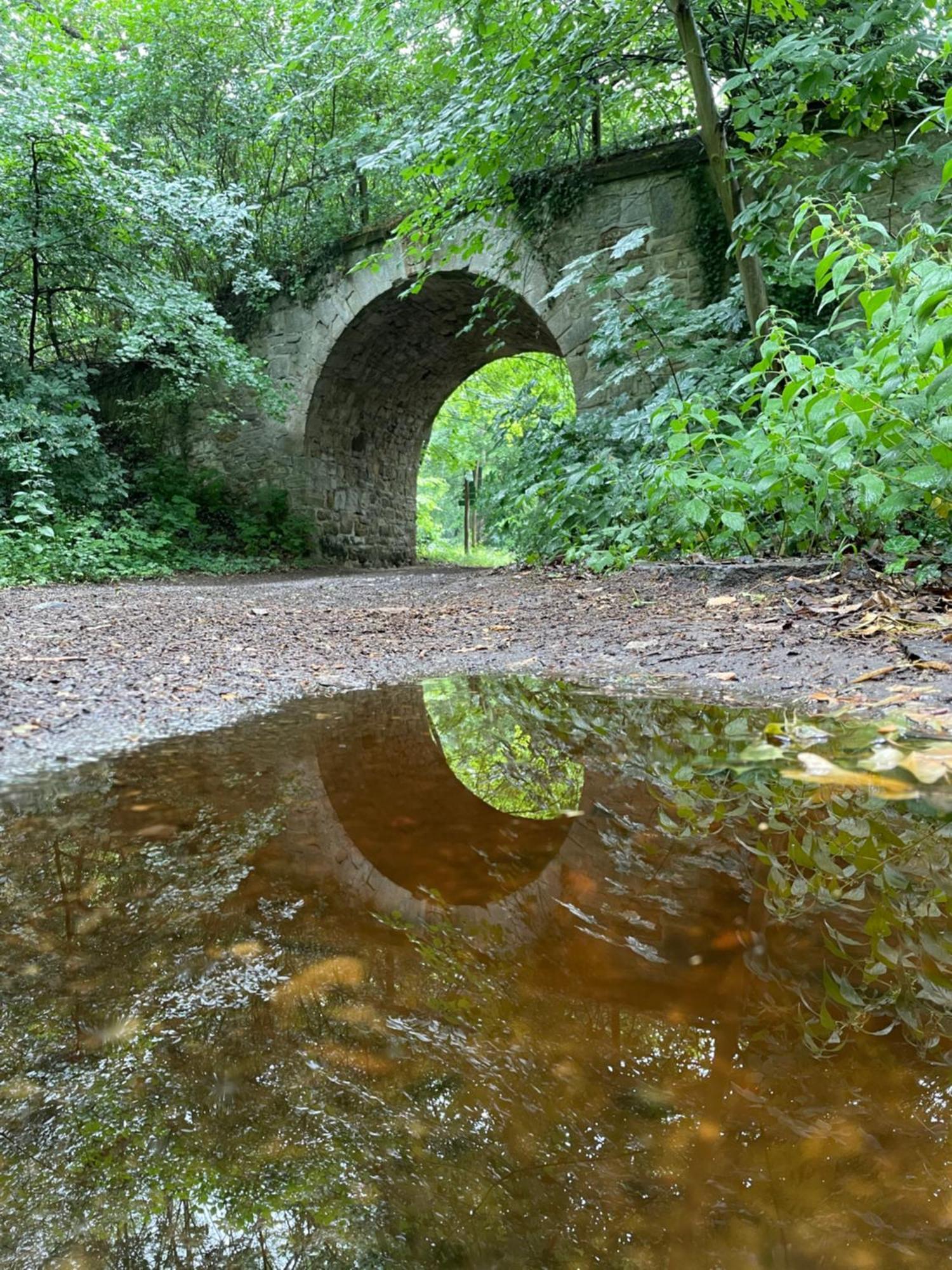 Schloss Beichlingen Luaran gambar